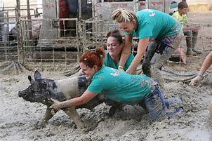 Image result for Pig Mud Pit Girls