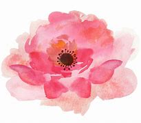 Image result for Pink Watercolor Clip Art