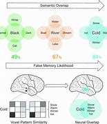 Image result for False Memory Experiment Examples