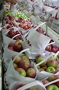 Image result for 1Kg Apple's