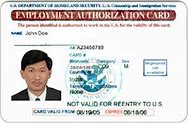 Image result for Work Visa Card