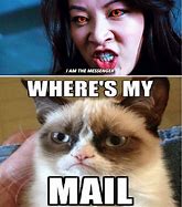 Image result for Grumpy Cat On a Phone