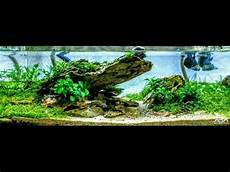 ada aquascape low tech ada 45f 4 2 gallon aquascape step by step outside ada aquascape low tech ada 45f 4 2 gallon aquascape step by step outside