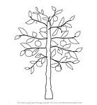Image result for Apple Tree Drawing Easy
