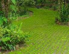 Image result for Moss Lawn Black House