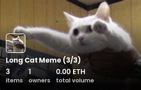 Image result for Long Cat Meme