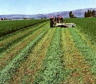 Image result for agriculfura