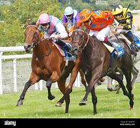 Image result for Is There Horse Racing at Goodwood