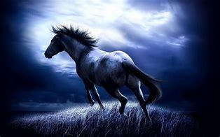 Image result for Wild Horses Desktop Wallpaper