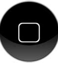 Image result for iPhone Black Home Button