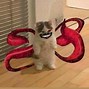 Image result for Standing Cat Meme Anime
