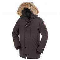 Image result for Canada Goose Cat