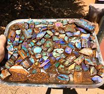 Image result for Australian Opal Mups