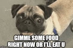 Image result for Gimme Food Meme