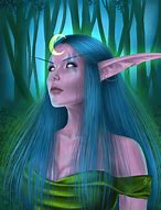 Image result for Night Elf Rogue