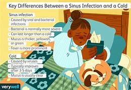 Image result for Sinus Infection or Cold