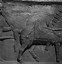 Image result for Ancient Horse Saddle