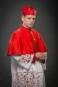 Image result for Female Pope Costume