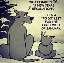 Image result for Funny Happy New Year Photos