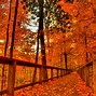 Image result for Cool Autumn