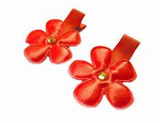 Image result for Orange Hair Clips