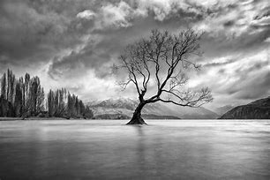 Image result for Amazing Art Black and White Scenery