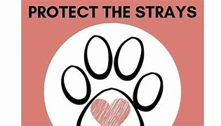Image result for Caring About the Strays