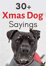 Image result for Merry Christmas Dog Puns