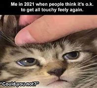 Image result for Depression Cat Meme