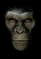 Image result for Ape Side Profile