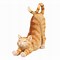 Image result for Cell Phone Cat Toy