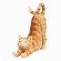 Image result for Maine Coon Cat Phone Holder