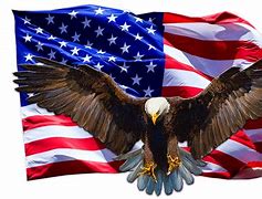 Image result for USA Flag Bald Eagle