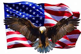 Image result for American Flag Decal