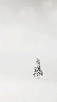 Image result for White Tree iPhone Wallpaper