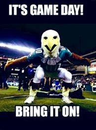 Image result for Eagles Memes Football