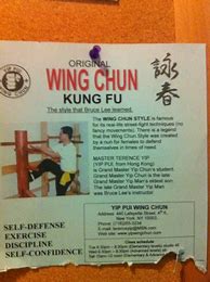 Image result for IP Man Wing Chun