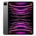 Image result for iPad Model Mc769x A