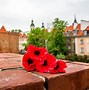 Image result for Items Unique to Poland