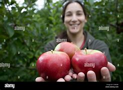 Image result for Apple Picking in New York