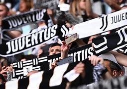 Image result for Juventus Fans