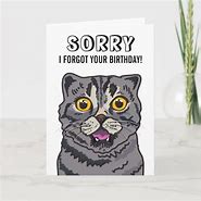 Image result for Forgot Your Birthday Cat