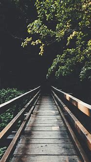 Image result for iPhone X Lock Screens Woods
