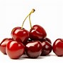 Image result for Cherry Tree with Fruit