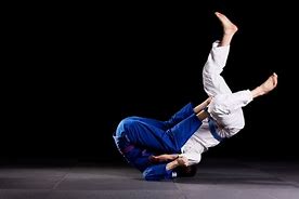 Image result for Martial Arts Sports