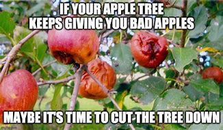 Image result for Apple Fruit Meme