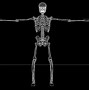 Image result for 3D Box Vector Skeleton