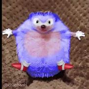 Image result for Real Life Sonic Movie