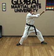 Image result for Shotokan Karate Techniques