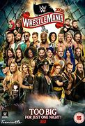 Image result for HHH in WrestleMania 30